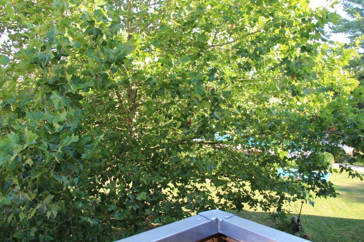 La Dominotte Bed & Breakfast Demigny Room photo